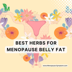 Menopause-symptom.com